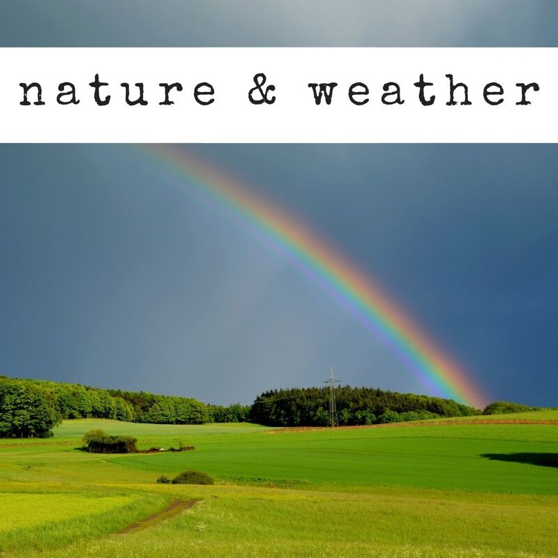 The Coalition for Children Virtual Play and Learn activities for home featuring nature, weather, wind, sun, rain, umbrellas, snow, snowmen, outdoors, outside, hiking, scavenger hunt, safari